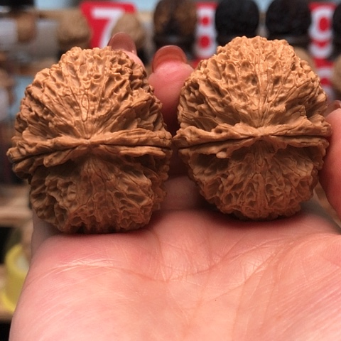 文玩核桃把件云南铁核桃