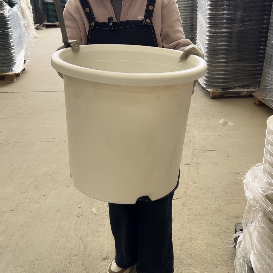 四季盆9#白色4个无托