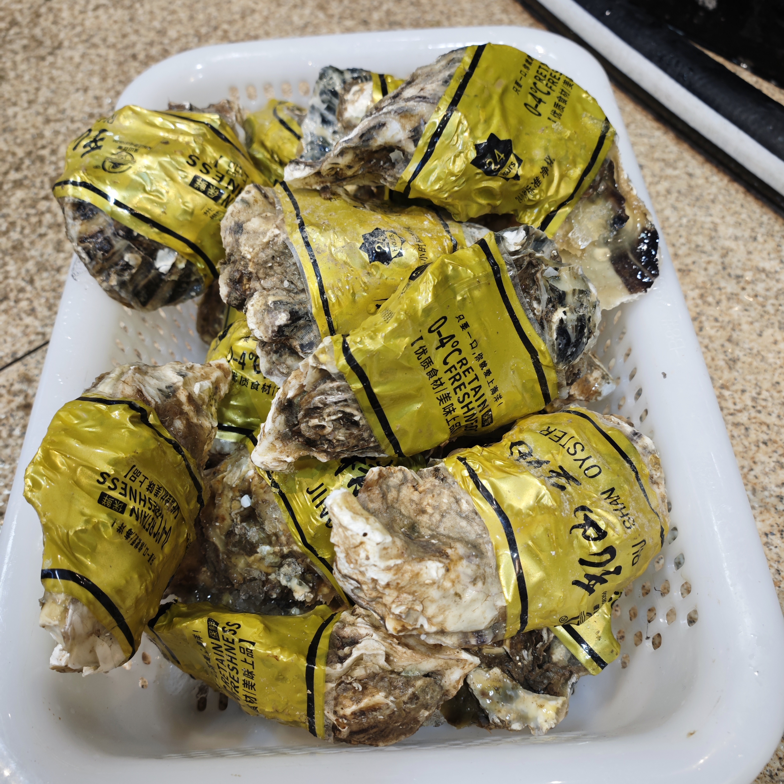 鲜活生蚝 新鲜生蚝 众赢水产