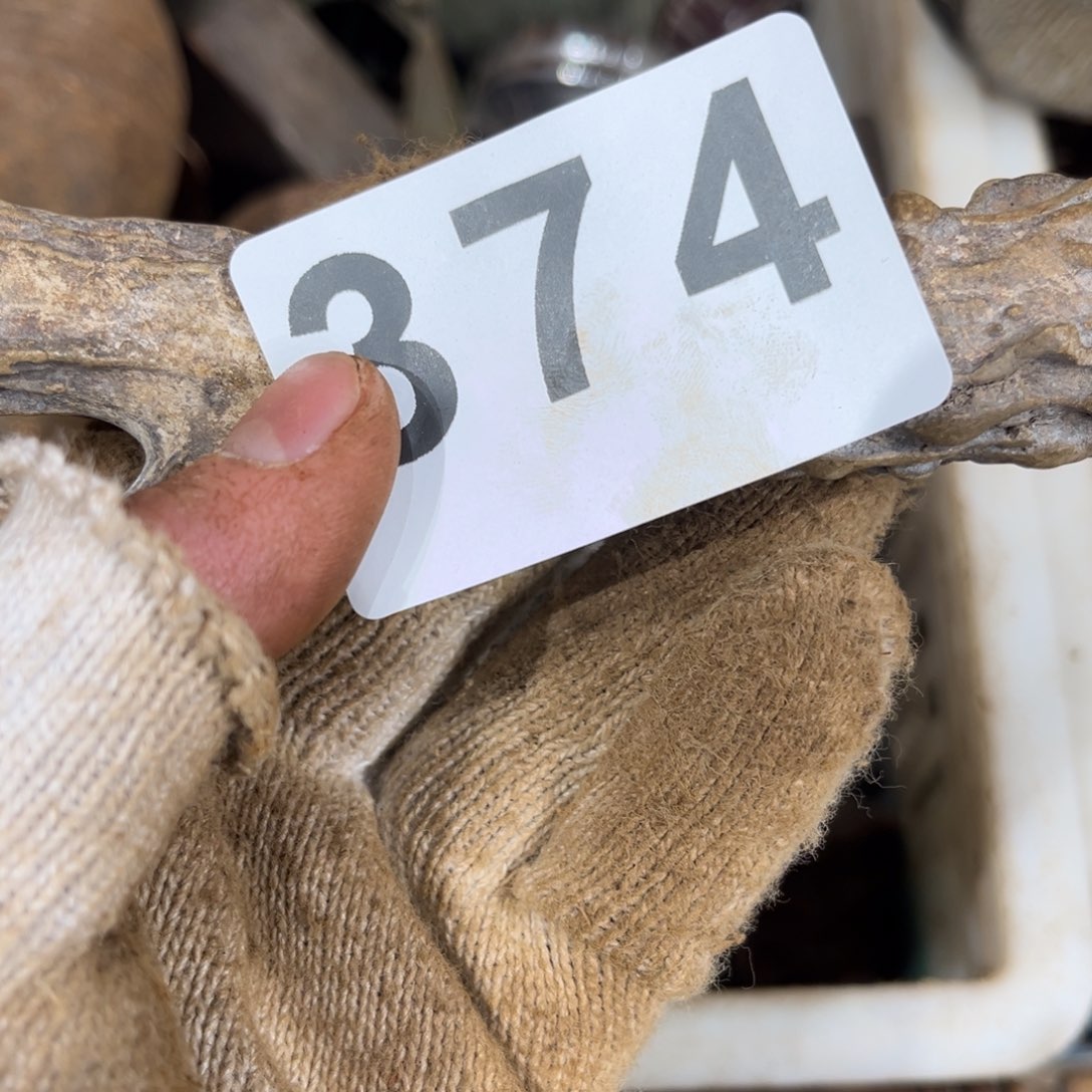 猎***林一物一图，工艺品374