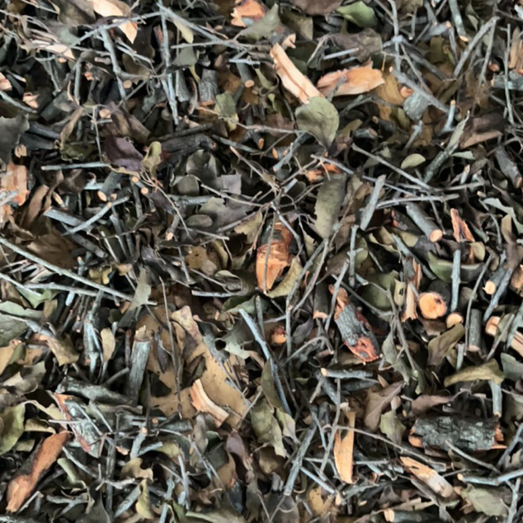 漆木寄生茶干货，500g事物图片