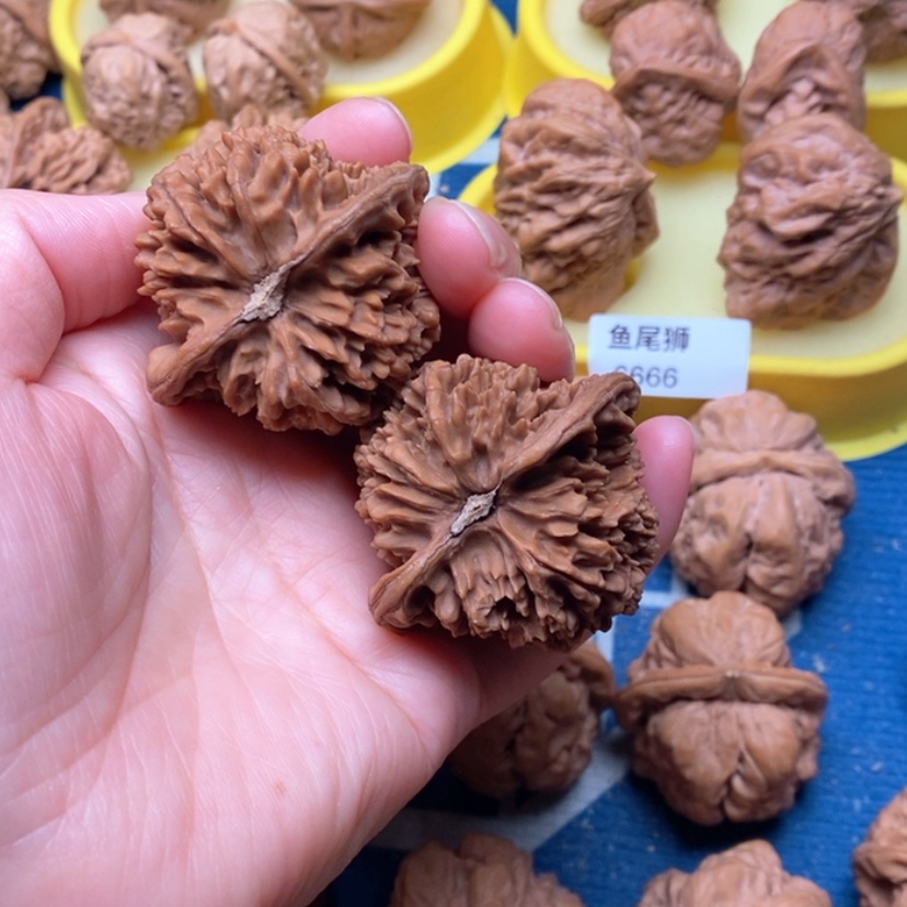 【闪购商品】手串/手链核桃边46全品满天星