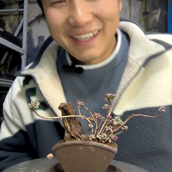 幽***水中青园艺一物一拍花175