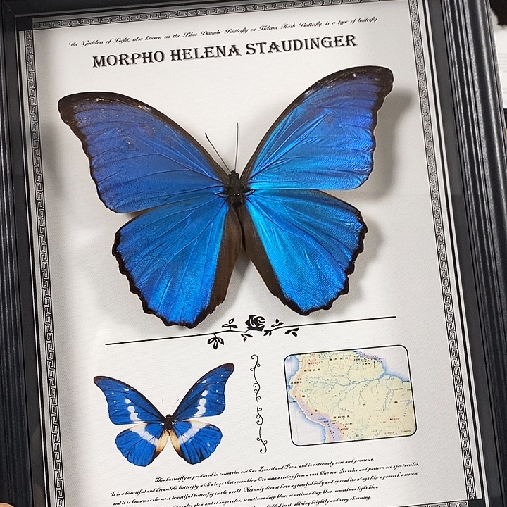 大理石磁石大蓝10寸框