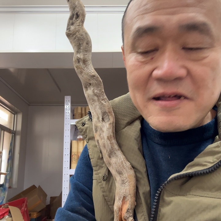 线香太行崖柏板根茶料