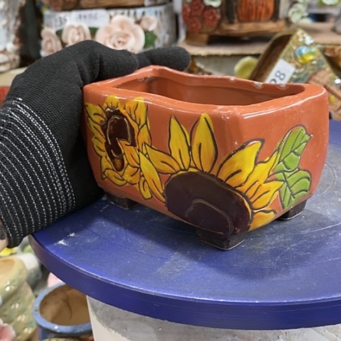 【闪购商品】红陶f