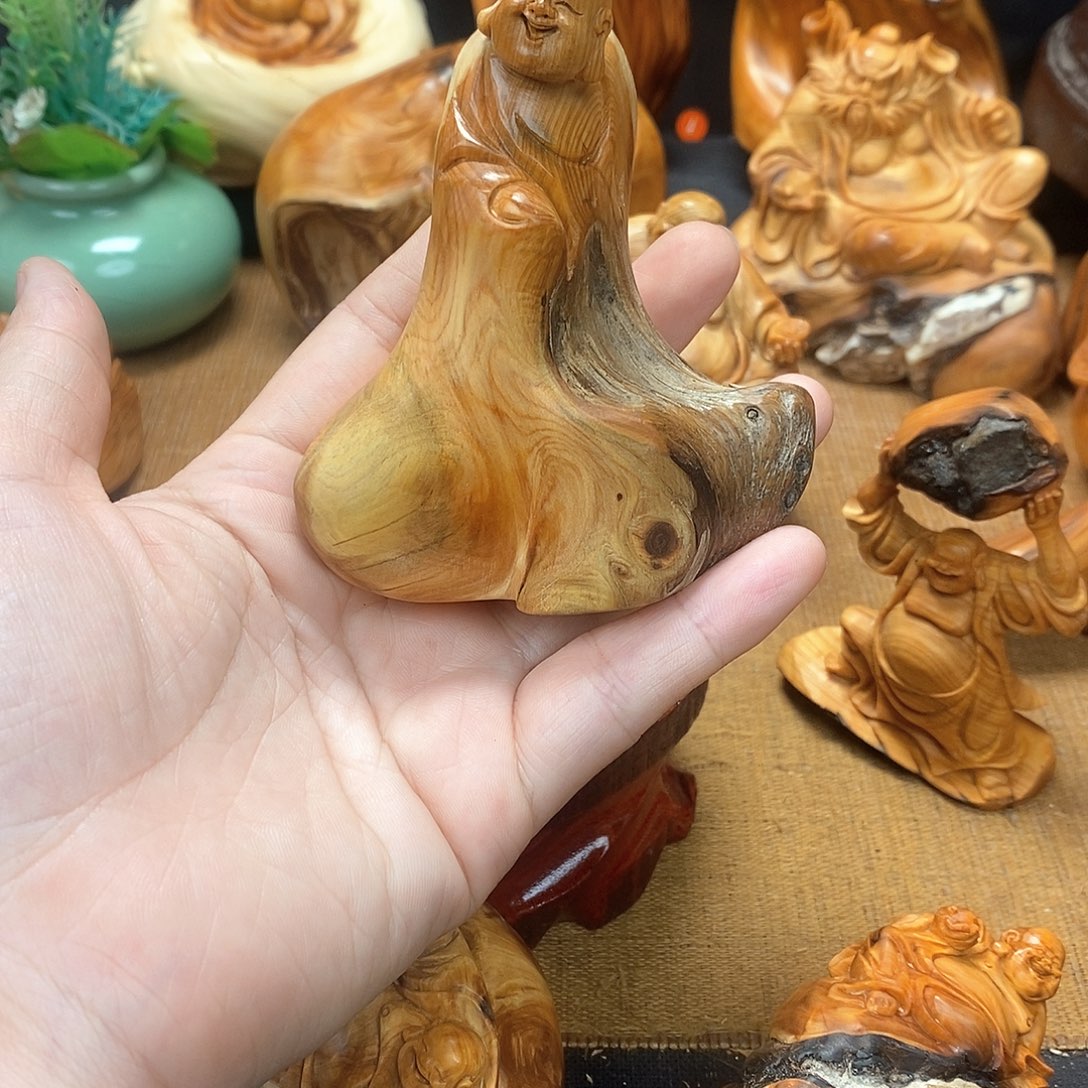 柏木（崖柏）一物一图