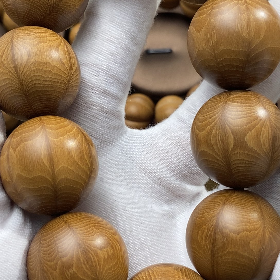 刚***仔六道木山西五台山