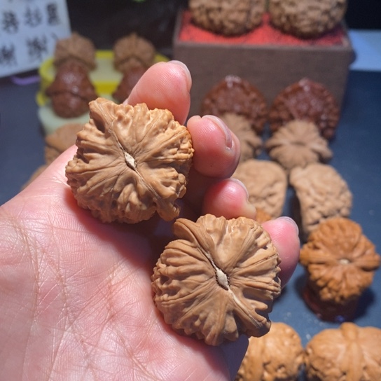 文玩核桃把件文玩白狮子37尺4