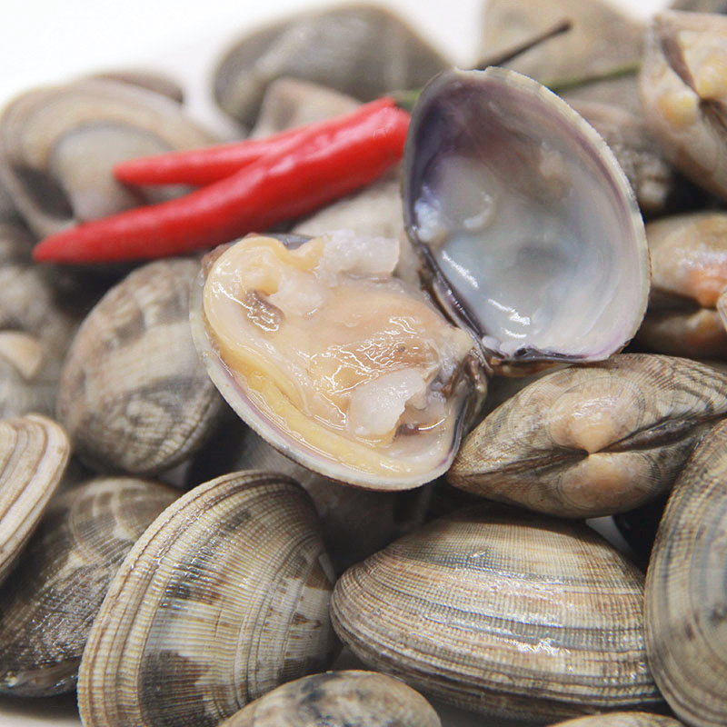 花蛤约400g