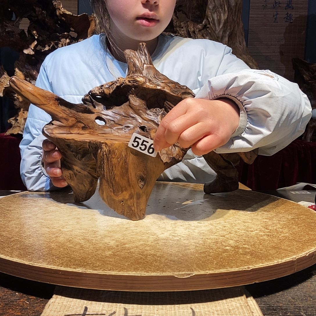 A***C556株木随行的小根艺