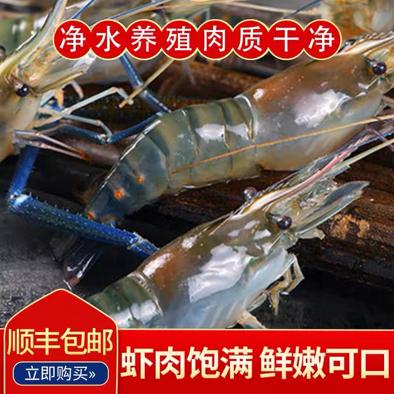 m1【4斤】鲜活速冻罗氏虾肉质鲜美10-15条规格顺丰冷链发货包邮