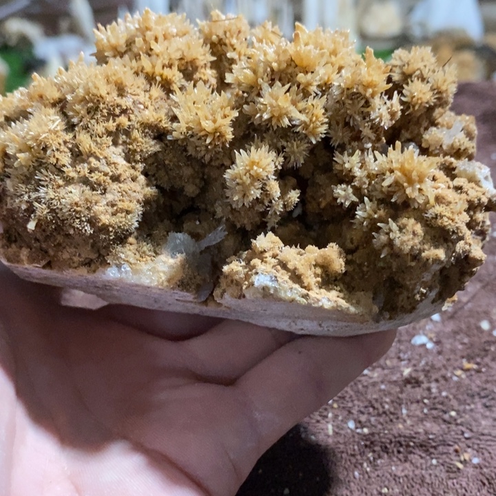 周***周玛瑙/玉髓合金挂件