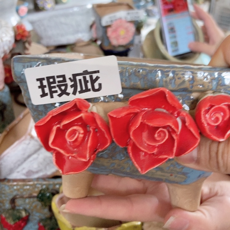 【闪购商品】红陶福利