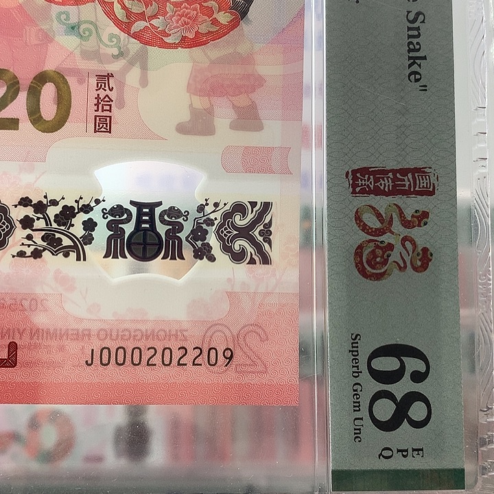 塑料小司令029，五龙珠
