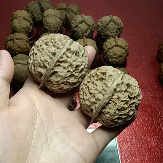 把件文玩核桃两棱满天星10号