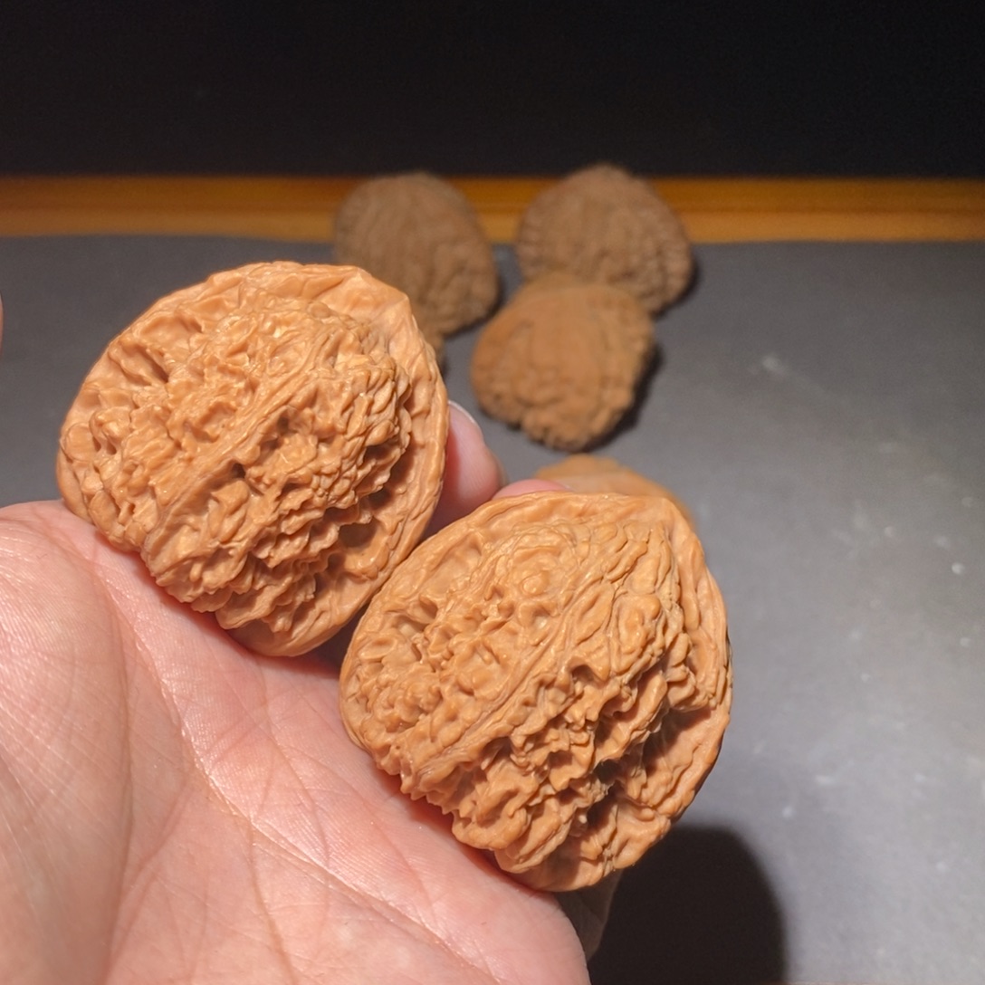 紫檀柳41南疆全品