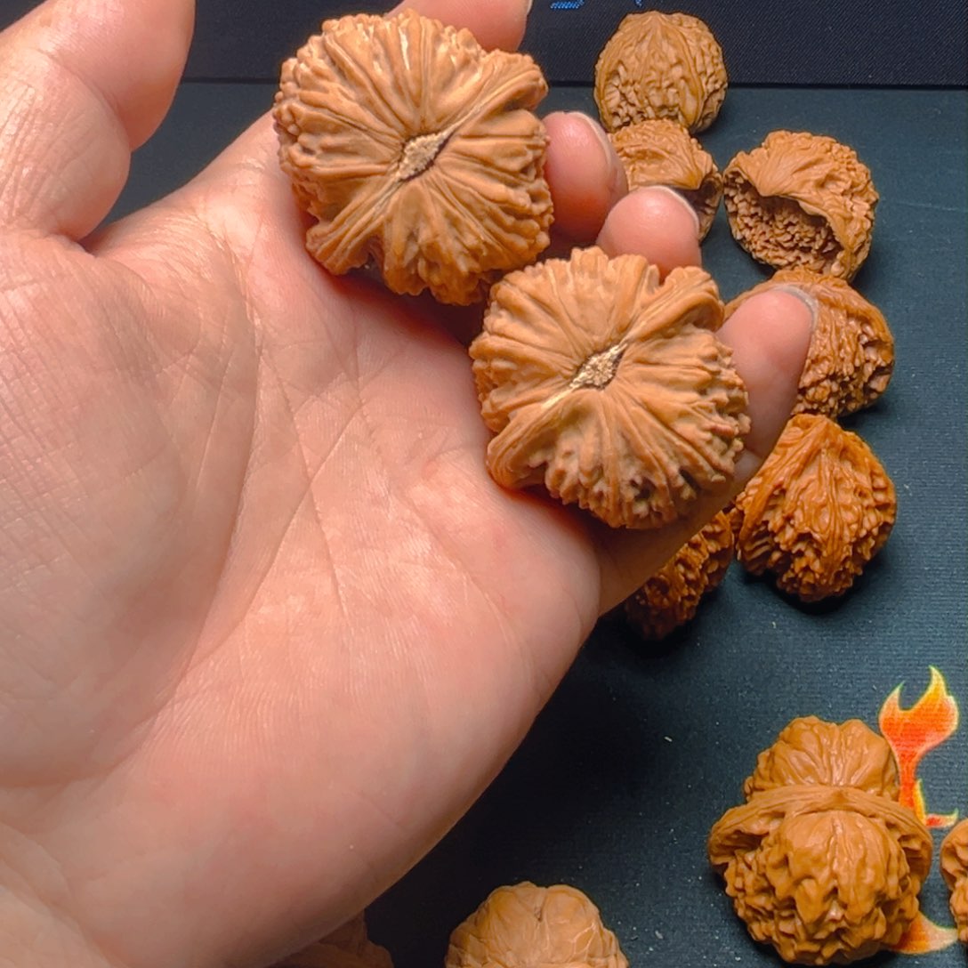 文玩核桃把件傲*白狮子