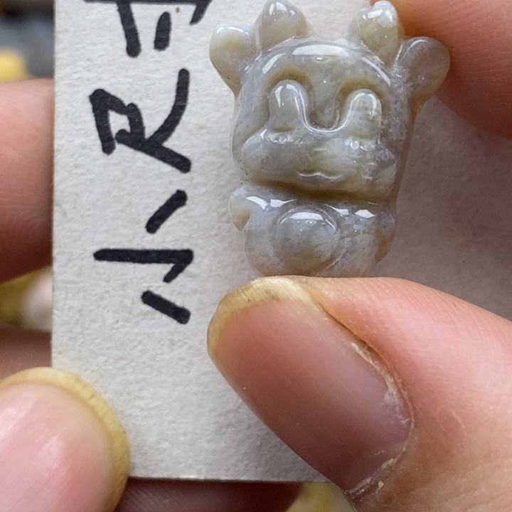 硅化珊瑚（珊瑚玉）未镶嵌颈饰