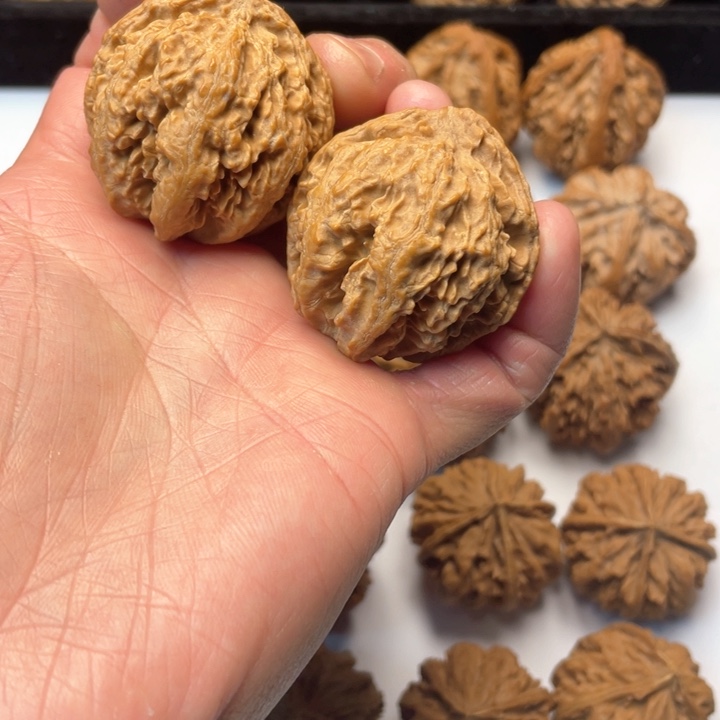 文玩核桃把件文玩城的小伙伴们