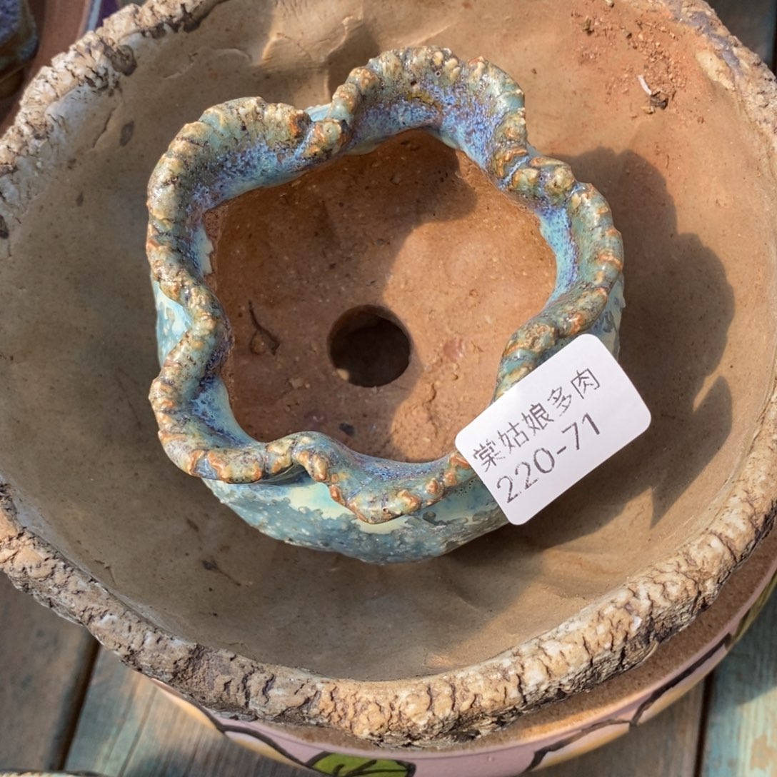 红陶木*家71号多肉盆一个呀