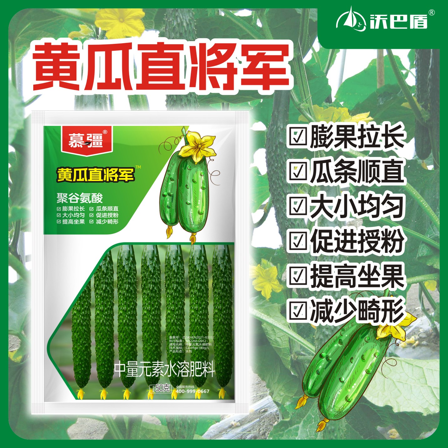 沃巴盾慕疆黄瓜直将军瓜条顺直拉长提高授粉叶片增厚增绿叶面肥