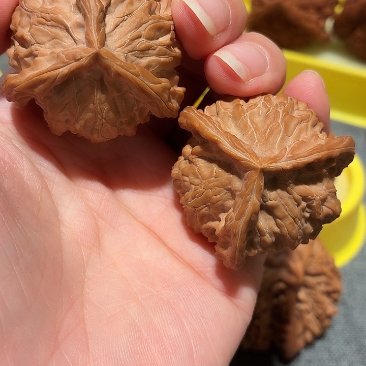 风**阻文玩核桃，盘山三棱，尺寸41