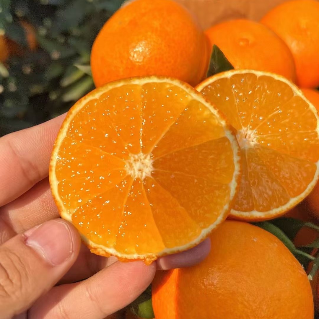 爱媛果冻橙（约5斤）/箱