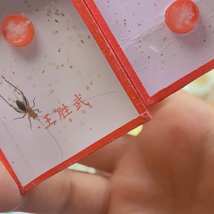 皇***上暗端2啊啊啊啊啊啊啊