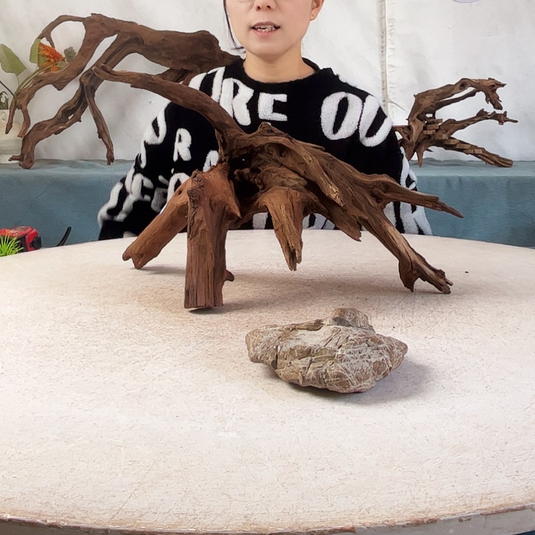 沉木造景爬宠造景