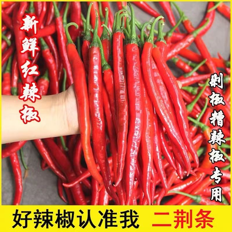 红辣椒新鲜红线椒红二荆条红海椒辣子农家现摘辣椒