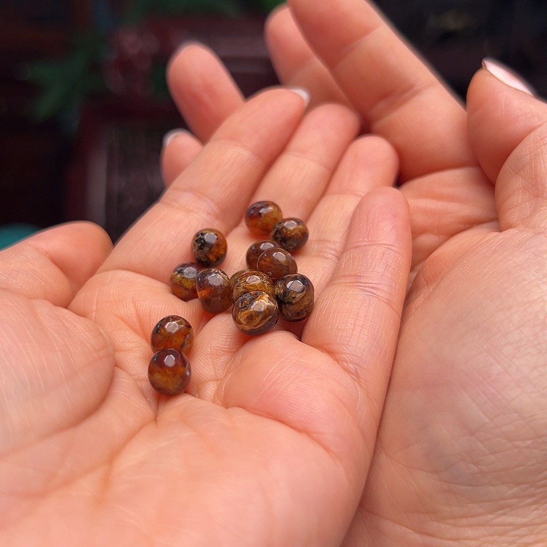 琥珀裸石未镶嵌小*鲨抚顺琥珀单珠