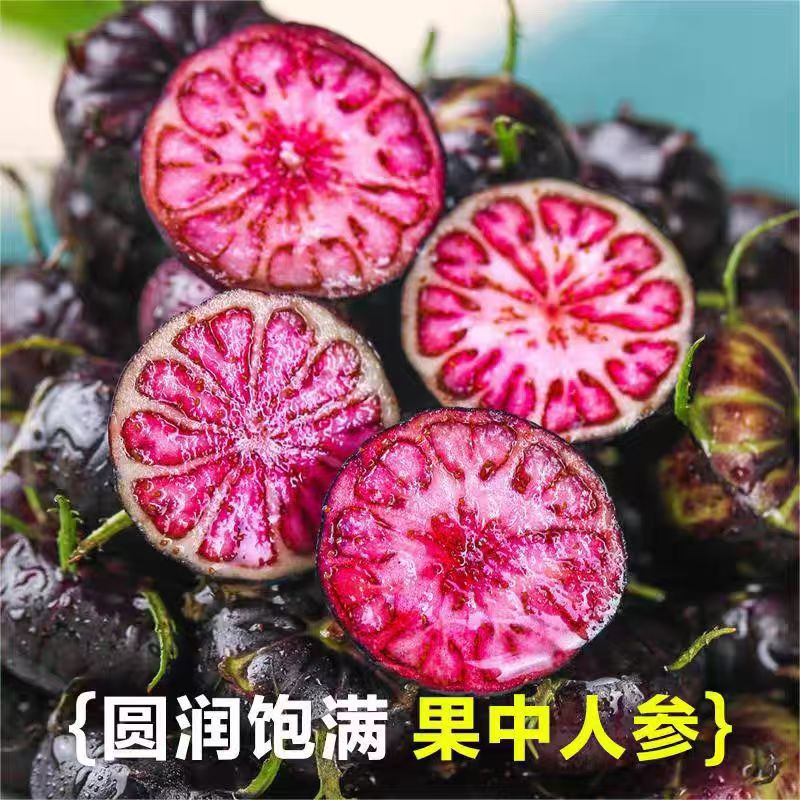 【鲜果尝鲜】正宗云南红果参新鲜现摘大果当季蜘蛛果花青素营养丰富