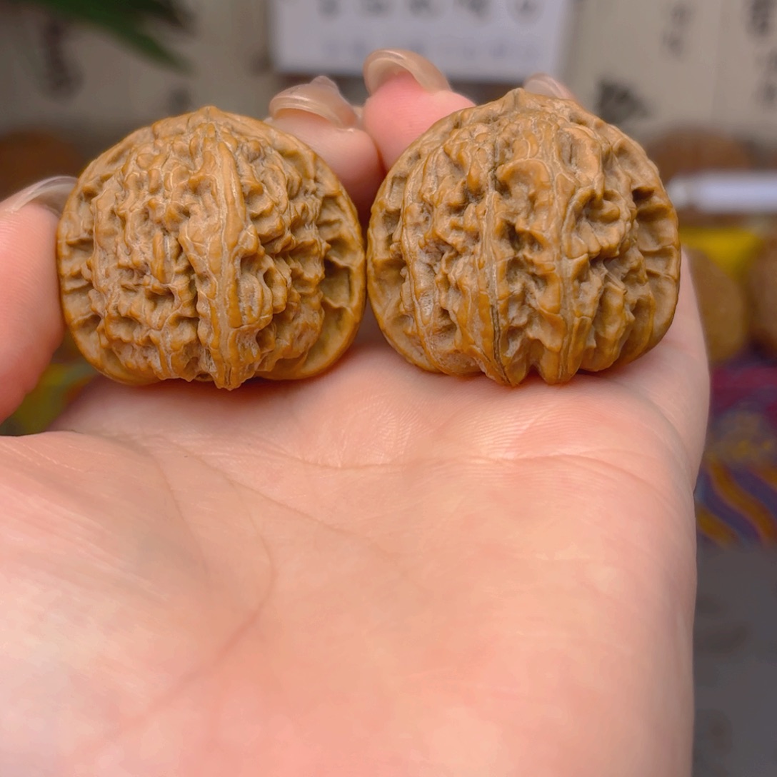 白狮子头三十五尺