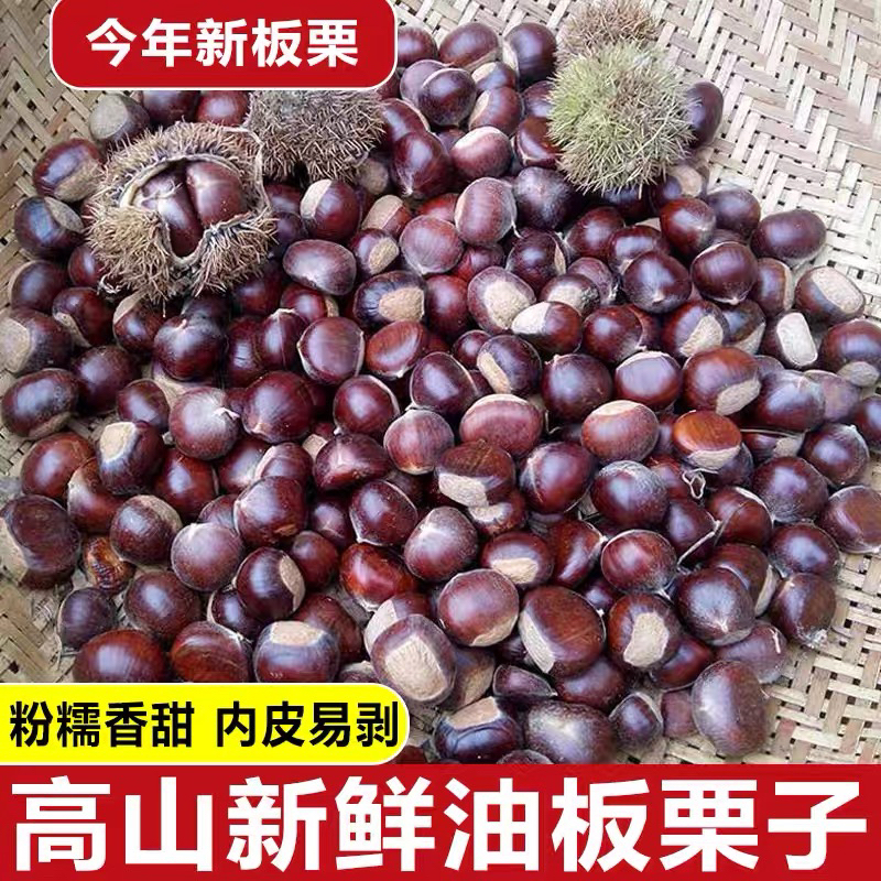新鲜带壳毛栗子深山老树板栗香味浓郁颗粒饱满香糯甘甜