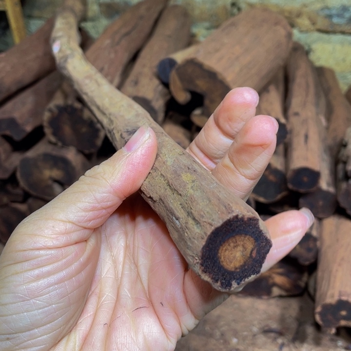 K***猫降真香定制缅甸小叶降真香