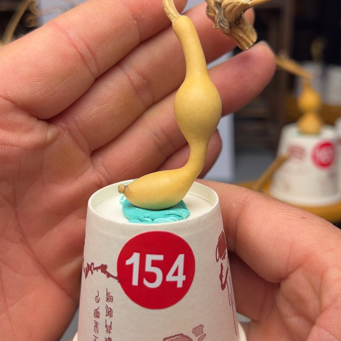 闪电购自助下单编号154