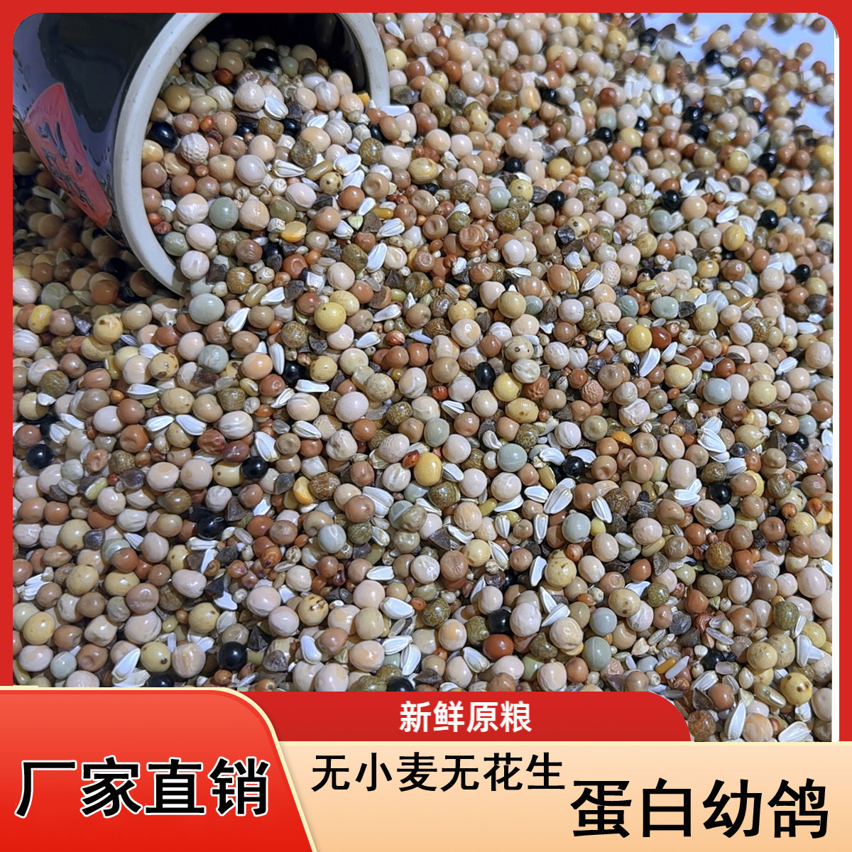 龙领鸽粮  无小麦无花生无油葵蛋白幼鸽粮  10/20/50斤包邮