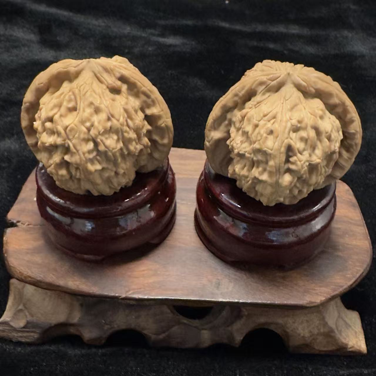 白茬白狮子（瑕疵）-- 144