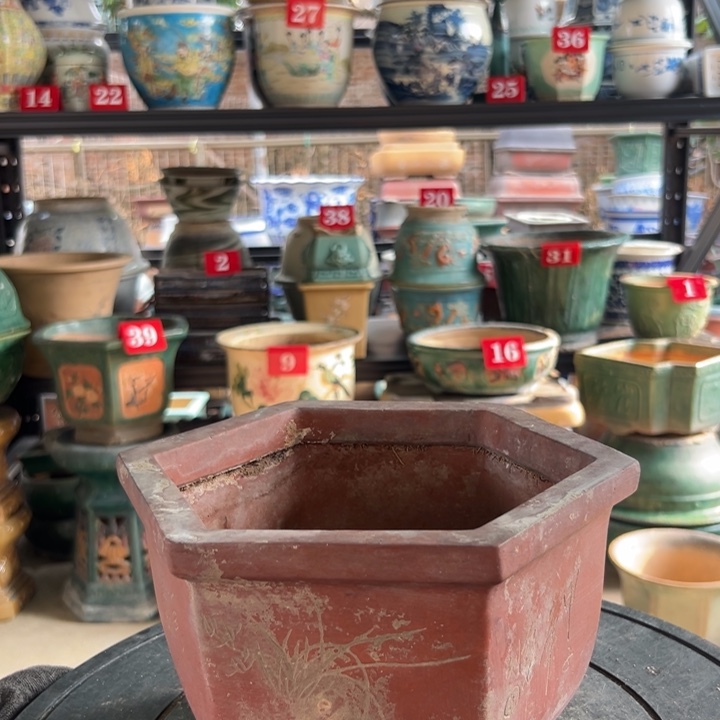 江*日我们都是好孩家小