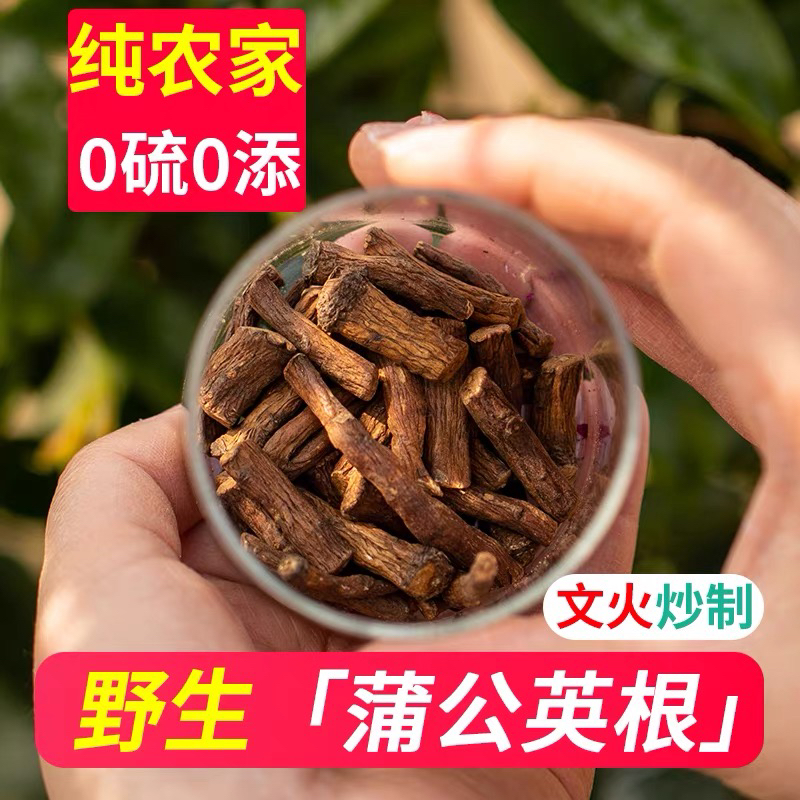 蒲公英根茶农家自采中药材蒲公英泡茶健康饮品