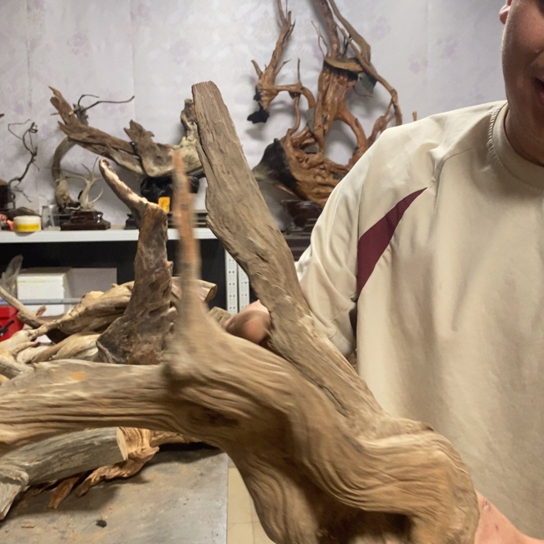 柏木林****丶我们都是好孩子