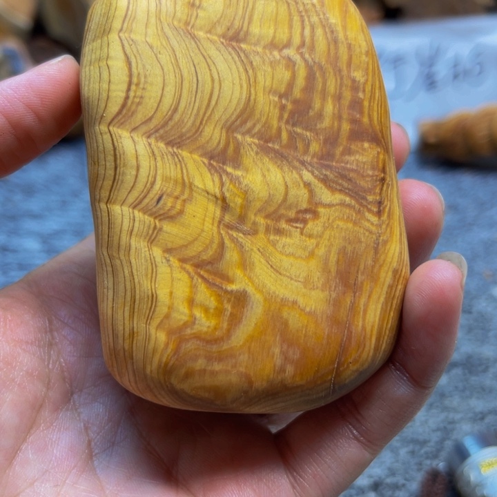 柏木（崖柏）崖柏118