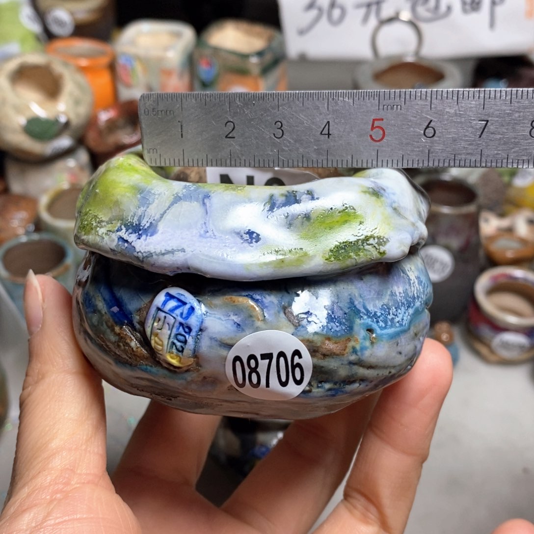 花盆拍3送一个小礼物