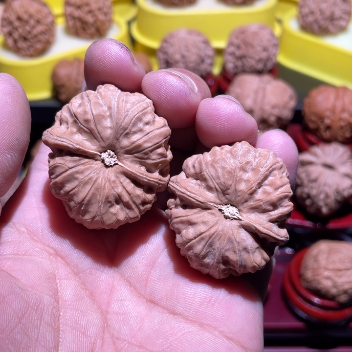 桃核吊坠门头沟全品