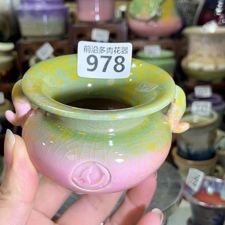 红陶内口径5高度6