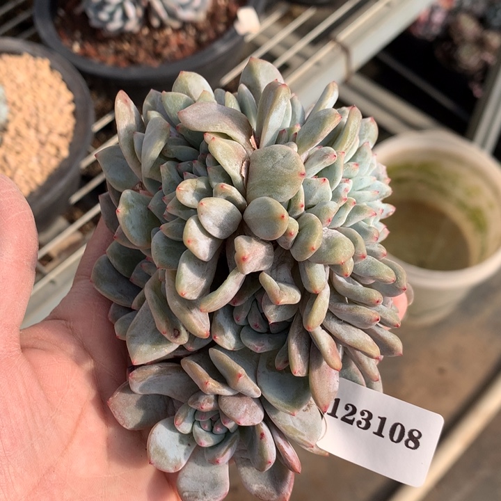 冰***雨123108缀嗯嗯嗯嗯嗯嗯好