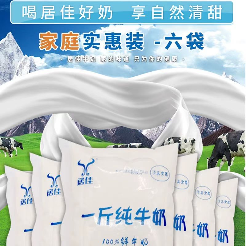 新日期居佳一斤纯牛奶500gX10袋整箱鲜牛奶袋装非宝藏好物