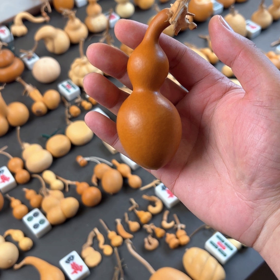 元***葫芦恍恍惚惚和佳佳佳佳回家