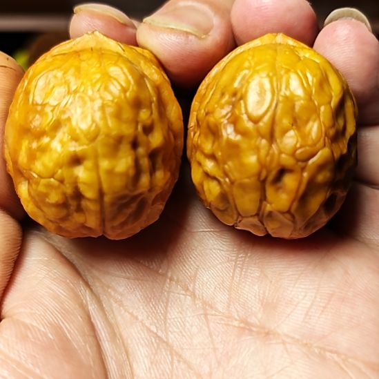 把件文玩核桃莽纹七彩蛤蟆头骨质密度超高（2）